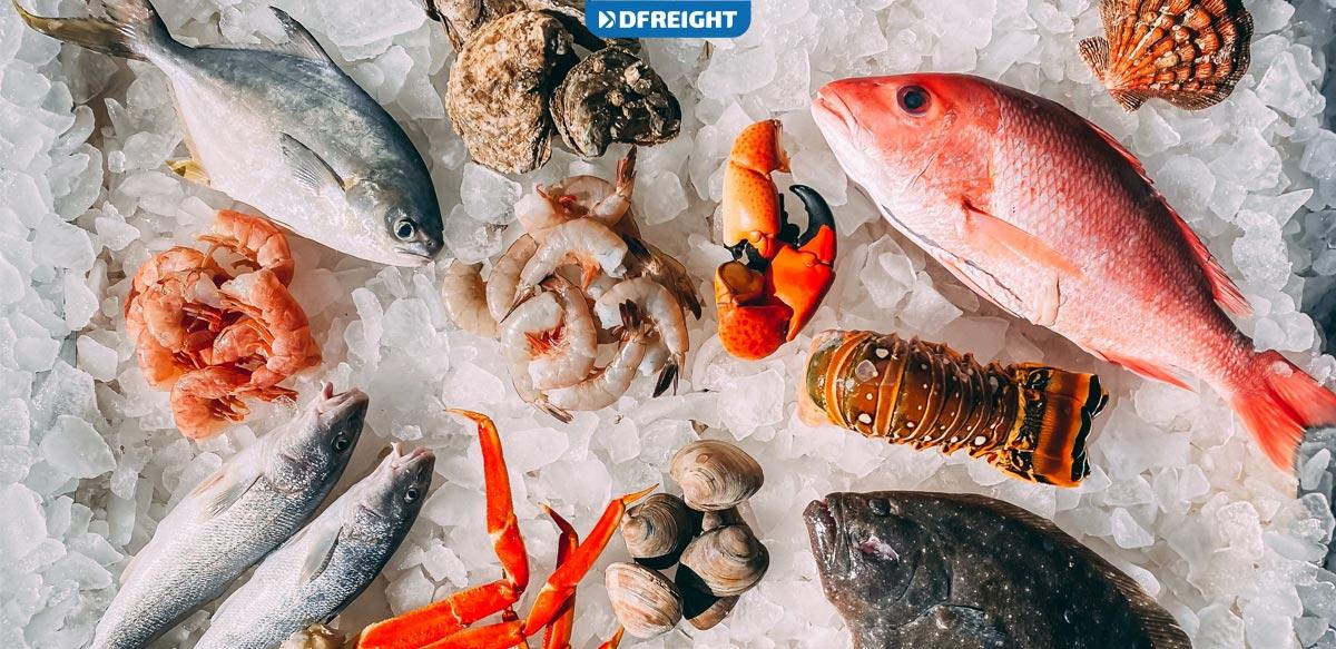 Seafood freight is a critical sector of transportation