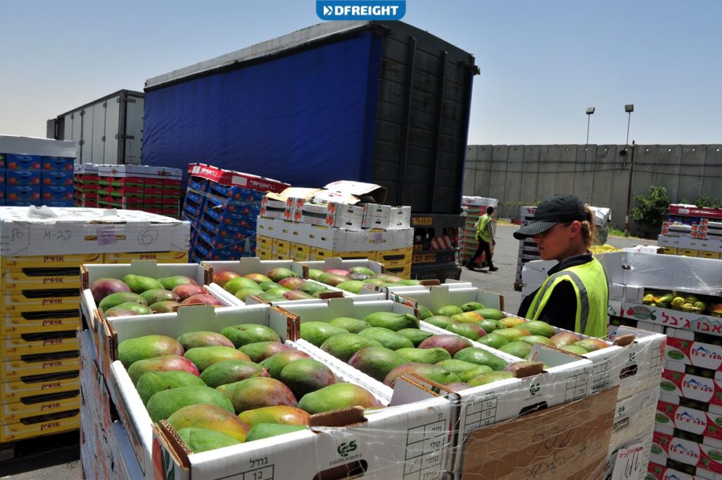 The Cheapest Way to Import Foods into Dubai A Step By Step Guide -